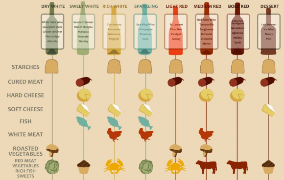 Wine Pairing Infographic